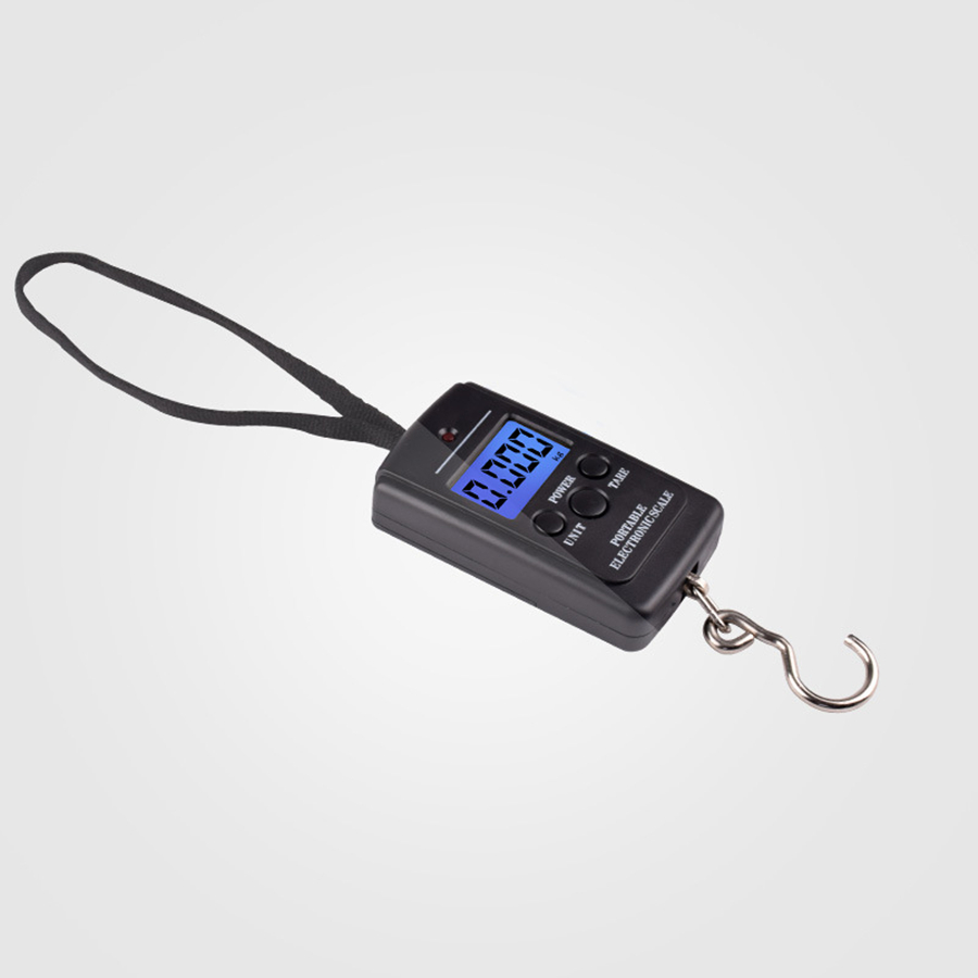 40kg multifonctionnel Mini éle - Fishing Equipment Carp avis et prix